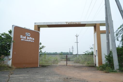 DSC09520