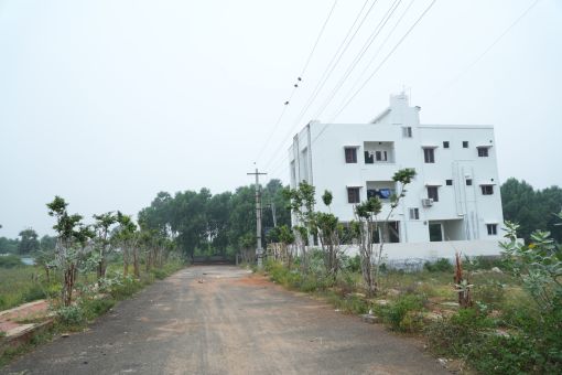 DSC09526