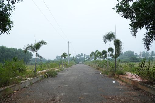 DSC09532