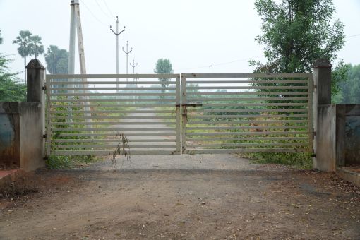 DSC09534