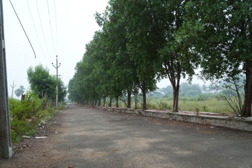 DSC09535