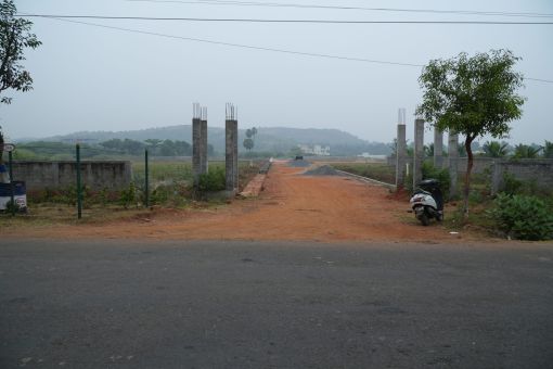 DSC09541