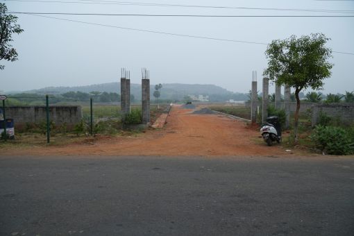 DSC09542