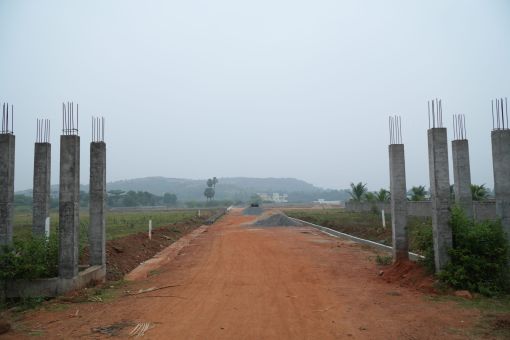 DSC09543