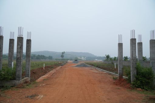 DSC09544