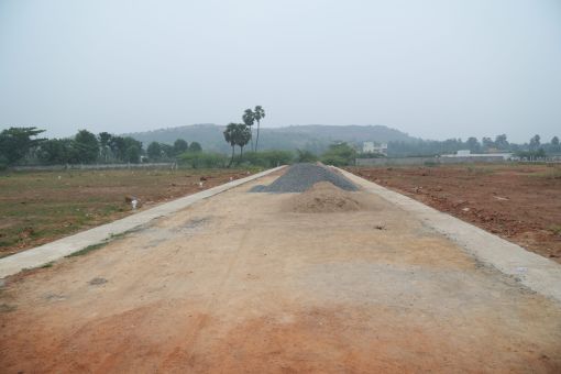 DSC09549