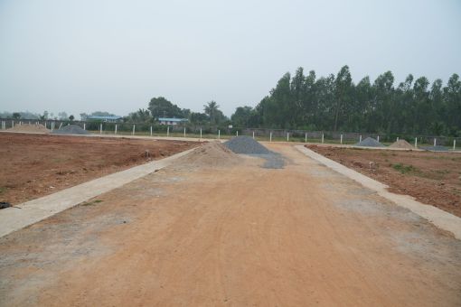 DSC09552