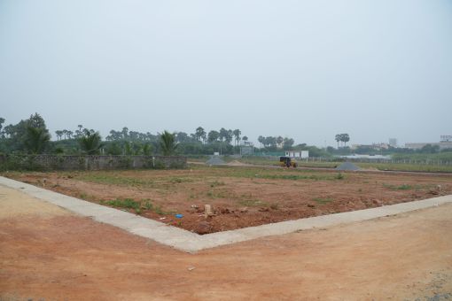 DSC09556