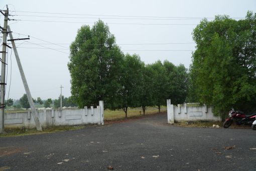 DSC09564