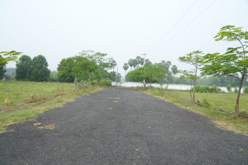 DSC09570