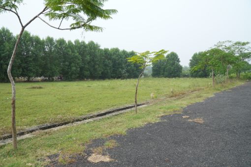 DSC09573