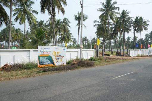 DSC09581