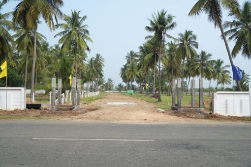 DSC09582