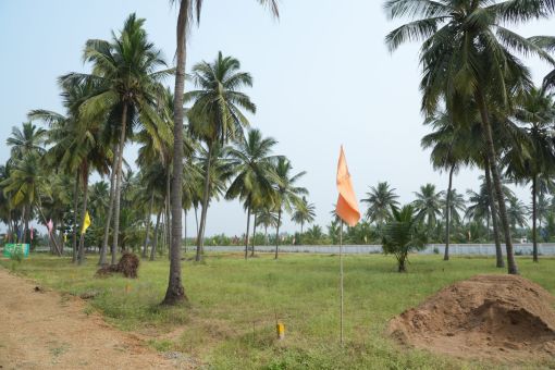 DSC09586