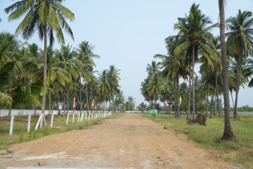 DSC09587
