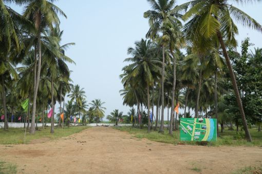 DSC09592