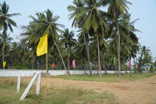 DSC09596