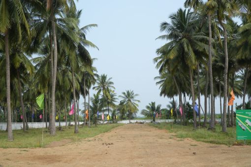 DSC09598