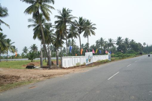 DSC09601