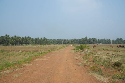 DSC09606