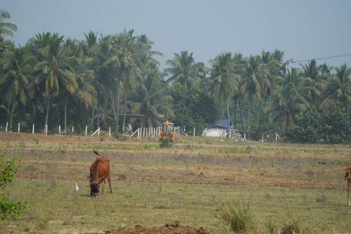 DSC09609