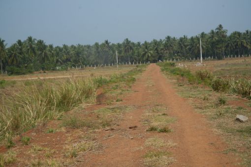 DSC09616
