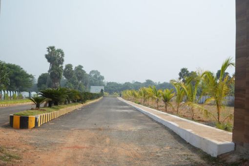 DSC09625
