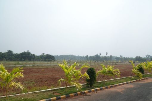 DSC09636