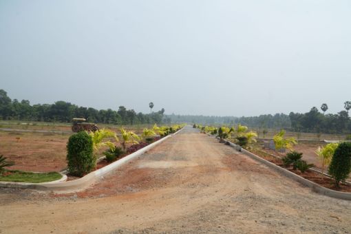 DSC09650
