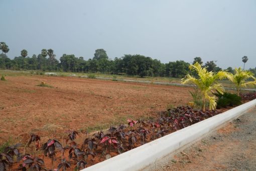 DSC09656