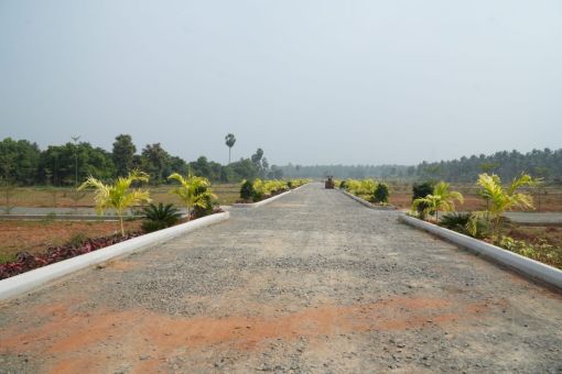 DSC09659