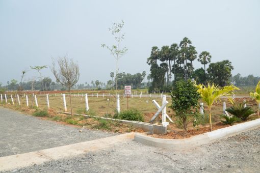 DSC09679