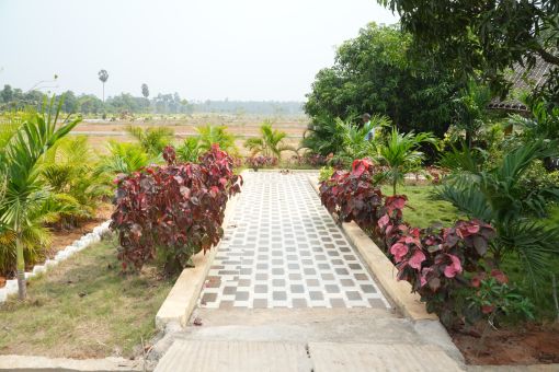 DSC09684