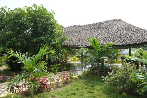 DSC09686