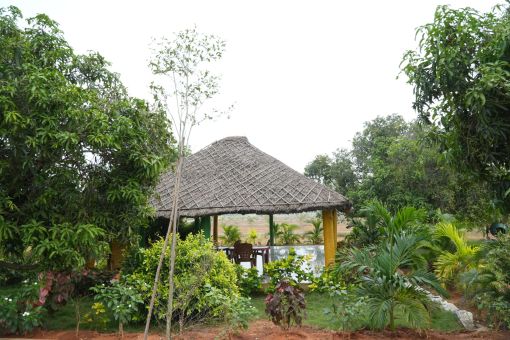 DSC09690