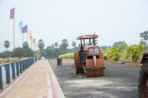 DSC09696