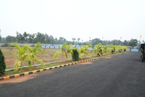 DSC09701