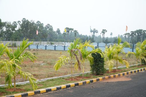 DSC09702