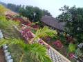 vishalimg3