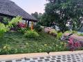 vishalimg6