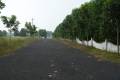 DSC09566