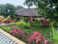 vishalimg10