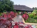vishalimg1